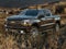 2022 Chevrolet Silverado 1500 LTD Custom Trail Boss